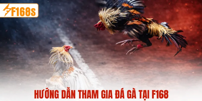 Hướng dẫn tham gia đá gà tại F168